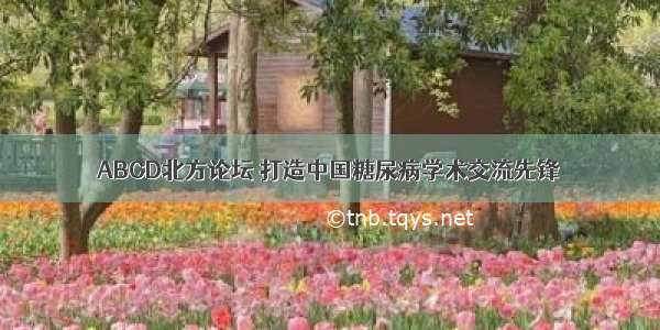 ABCD北方论坛 打造中国糖尿病学术交流先锋