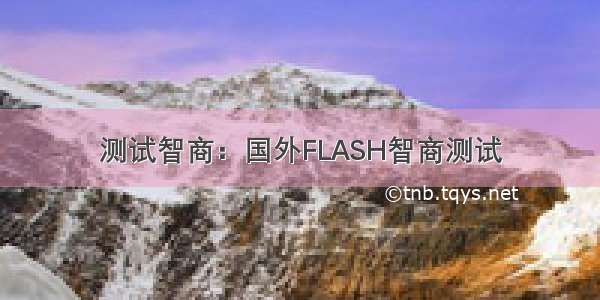 测试智商：国外FLASH智商测试