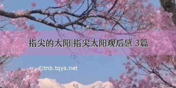 指尖的太阳|指尖太阳观后感 3篇