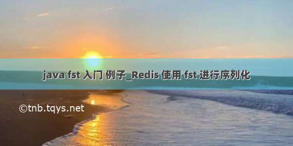 java fst 入门 例子_Redis 使用 fst 进行序列化