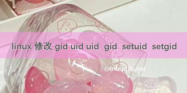 linux 修改 gid uid uid  gid  setuid  setgid