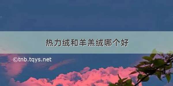 热力绒和羊羔绒哪个好