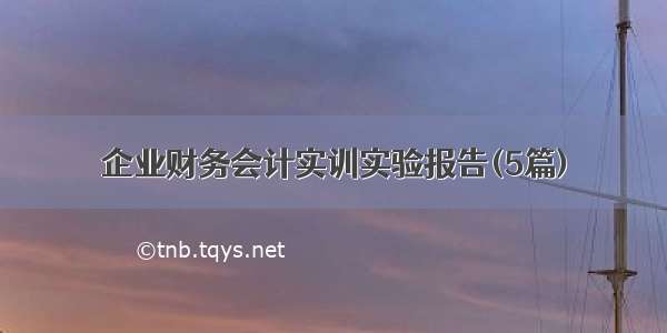 企业财务会计实训实验报告(5篇)