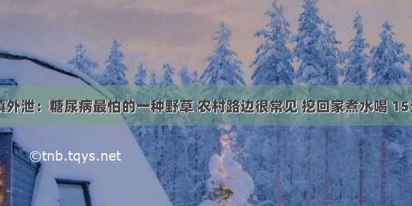 医院不慎外泄：糖尿病最怕的一种野草 农村路边很常见 挖回家煮水喝 15天降血糖