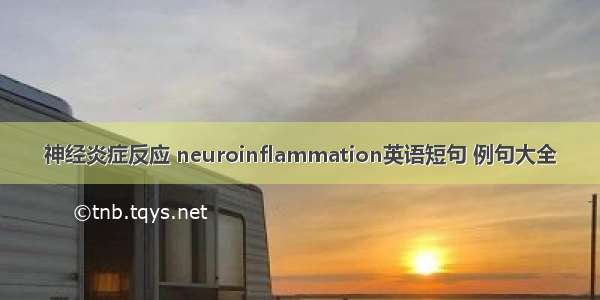 神经炎症反应 neuroinflammation英语短句 例句大全