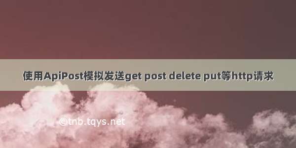 使用ApiPost模拟发送get post delete put等http请求