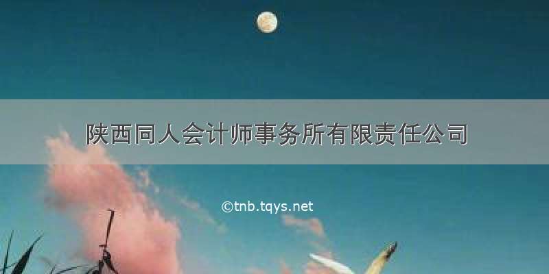 陕西同人会计师事务所有限责任公司