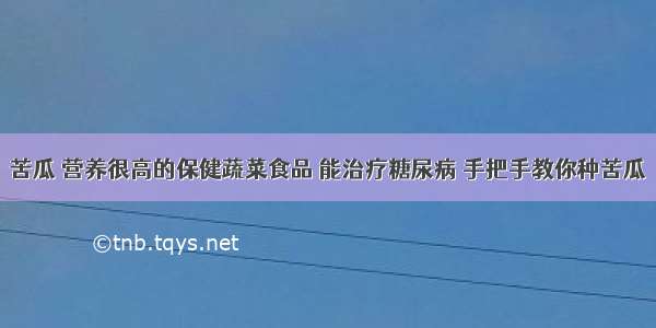 苦瓜 营养很高的保健蔬菜食品 能治疗糖尿病 手把手教你种苦瓜