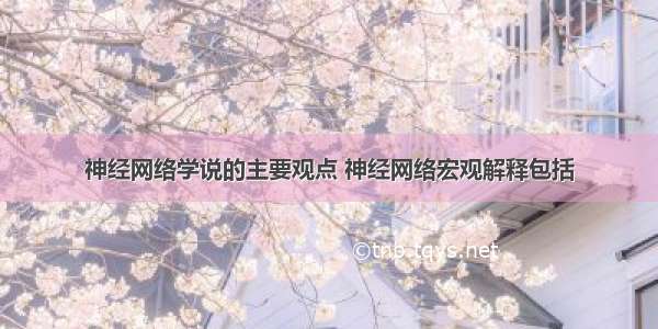 神经网络学说的主要观点 神经网络宏观解释包括