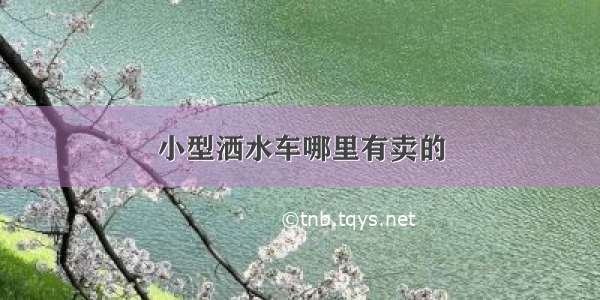 小型洒水车哪里有卖的