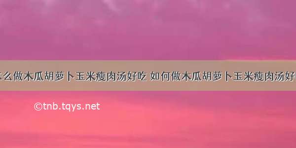 怎么做木瓜胡萝卜玉米瘦肉汤好吃 如何做木瓜胡萝卜玉米瘦肉汤好吃