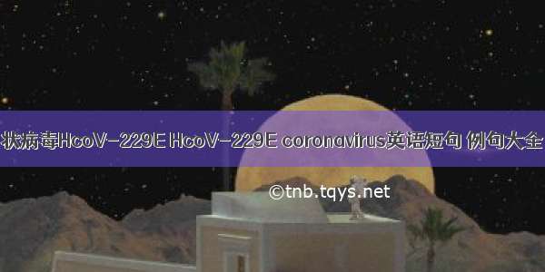 冠状病毒HcoV-229E HcoV-229E coronavirus英语短句 例句大全