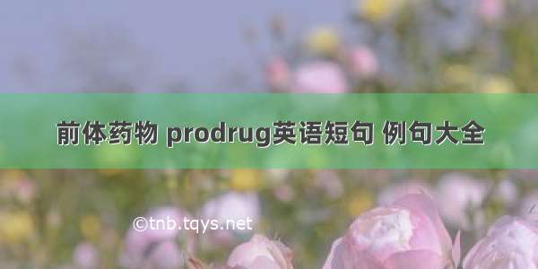 前体药物 prodrug英语短句 例句大全