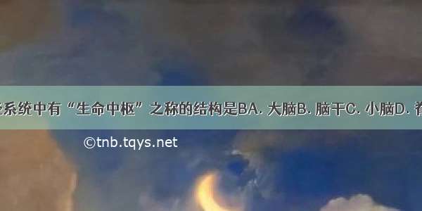 神经系统中有“生命中枢”之称的结构是BA. 大脑B. 脑干C. 小脑D. 脊髓