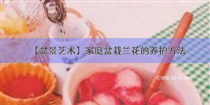 【盆景艺术】家庭盆栽兰花的养护方法