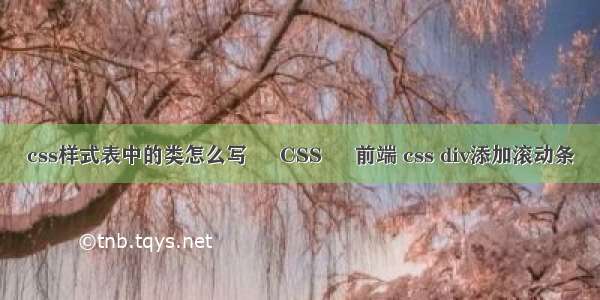 css样式表中的类怎么写 – CSS – 前端 css div添加滚动条