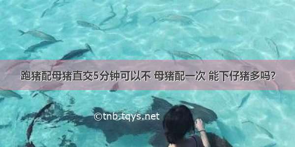 跑猪配母猪直交5分钟可以不 母猪配一次 能下仔猪多吗？