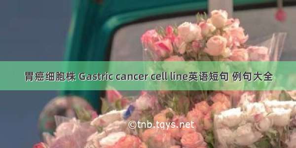 胃癌细胞株 Gastric cancer cell line英语短句 例句大全