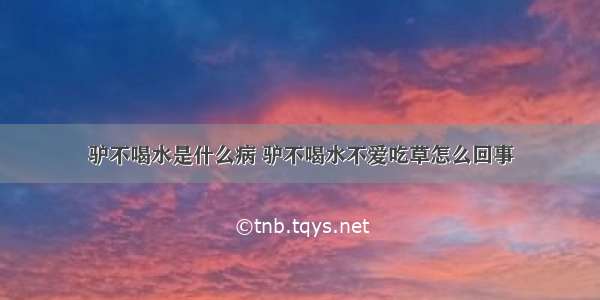 驴不喝水是什么病 驴不喝水不爱吃草怎么回事