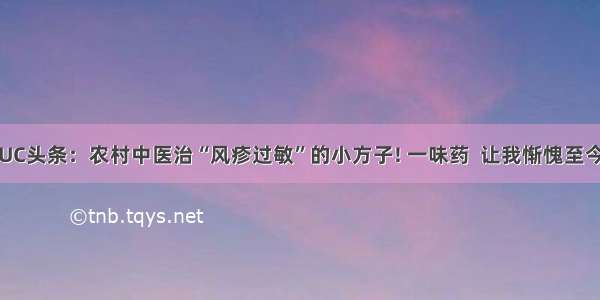 UC头条：农村中医治“风疹过敏”的小方子! 一味药  让我惭愧至今