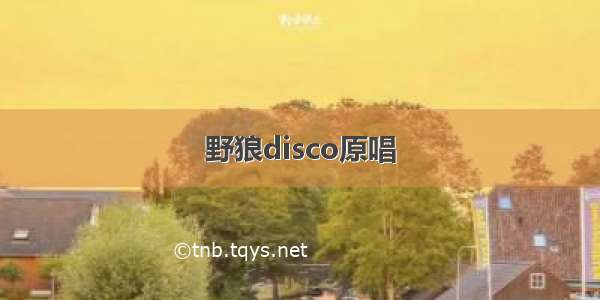 野狼disco原唱