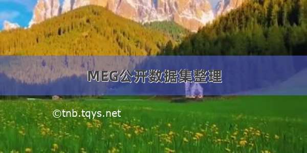 MEG公开数据集整理