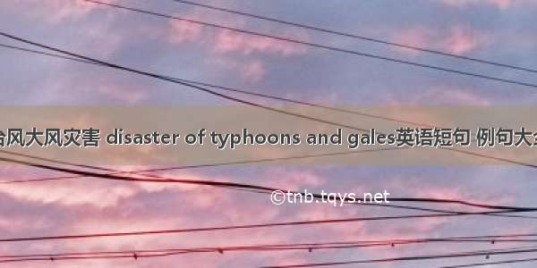 台风大风灾害 disaster of typhoons and gales英语短句 例句大全