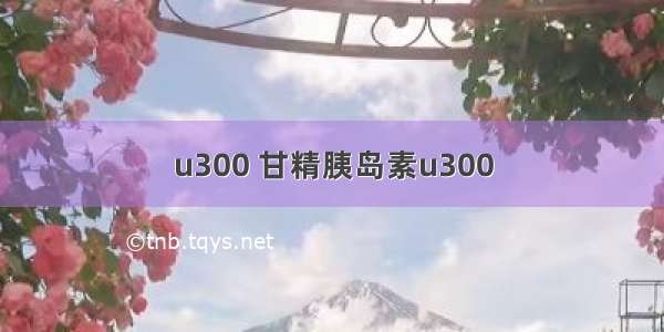 u300 甘精胰岛素u300