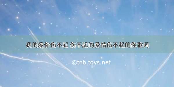 我的爱你伤不起 伤不起的爱情伤不起的你歌词