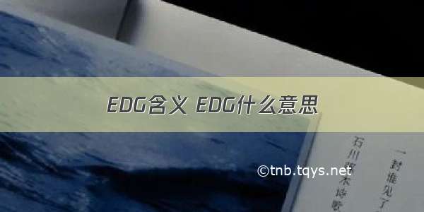 EDG含义 EDG什么意思