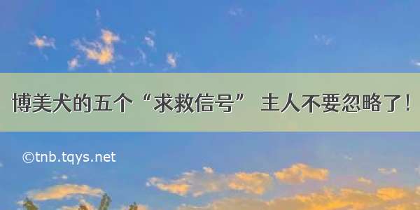 博美犬的五个“求救信号” 主人不要忽略了！