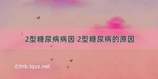 2型糖尿病病因 2型糖尿病的原因