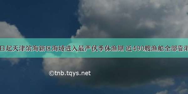 5月1日起天津滨海新区海域进入最严伏季休渔期 近490艘渔船全部靠港停泊