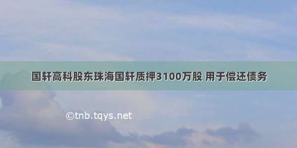 国轩高科股东珠海国轩质押3100万股 用于偿还债务