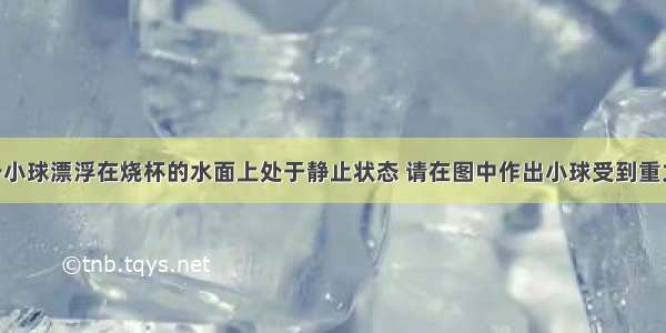 如图所示 一小球漂浮在烧杯的水面上处于静止状态 请在图中作出小球受到重力的示意图．