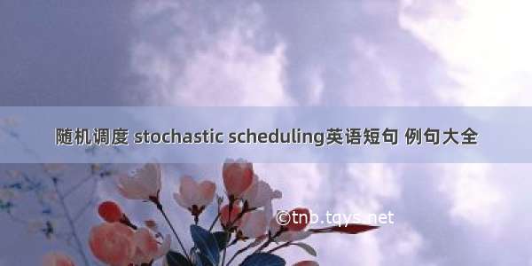 随机调度 stochastic scheduling英语短句 例句大全