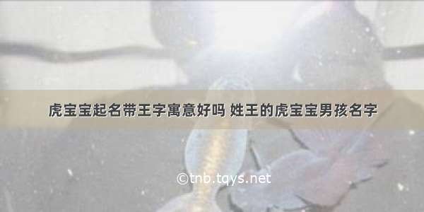 虎宝宝起名带王字寓意好吗 姓王的虎宝宝男孩名字