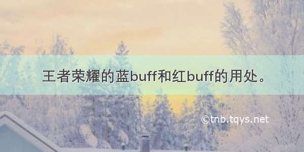 王者荣耀的蓝buff和红buff的用处。