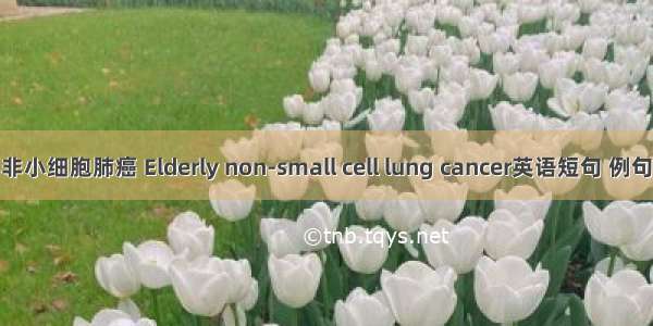 老年非小细胞肺癌 Elderly non-small cell lung cancer英语短句 例句大全