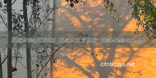 丝瓜水的美容作用_丝瓜水怎么提取_丝瓜水的使用方法