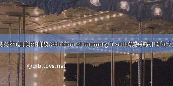 记忆性T细胞的消耗 Attrition of memory T cells英语短句 例句大全