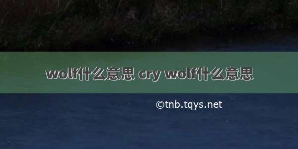 wolf什么意思 cry wolf什么意思