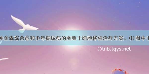 下图所示为帕金森综合症和少年糖尿病的胚胎干细胞移植治疗方案。⑴ 图中①为技术。⑵