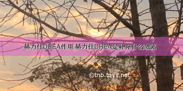 赫力仕DHEA作用 赫力仕DHEA是补充什么激素