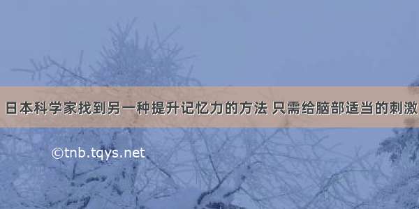 日本科学家找到另一种提升记忆力的方法 只需给脑部适当的刺激