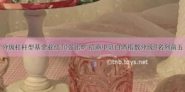 分级杠杆型基金业绩10强出炉 招商中证白酒指数分级B名列前五