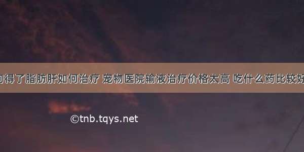 狗得了脂肪肝如何治疗 宠物医院输液治疗价格太高 吃什么药比较好。