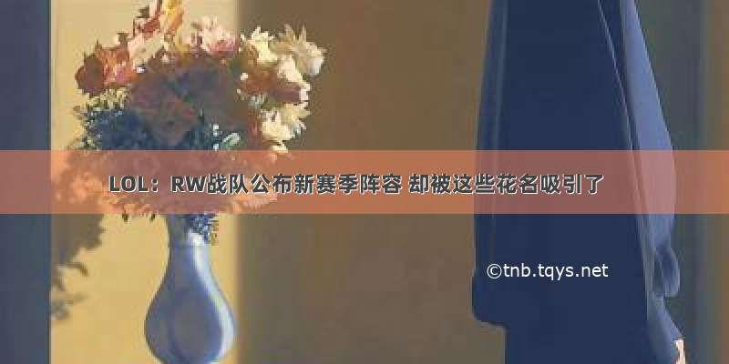 LOL：RW战队公布新赛季阵容 却被这些花名吸引了