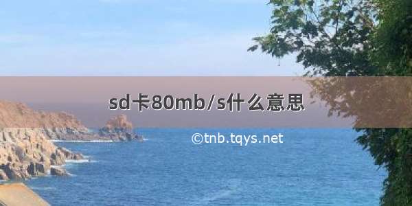 sd卡80mb/s什么意思