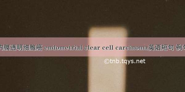 子宫内膜透明细胞癌 endometrial clear cell carcinoma英语短句 例句大全